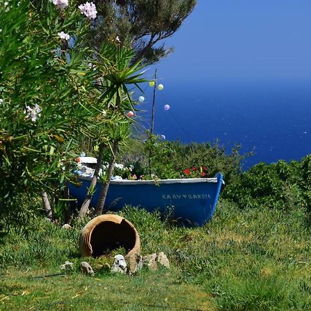 Panoramma Hause, Kampos Evdilou,Ikaria Apartman Évdilosz Kültér fotó