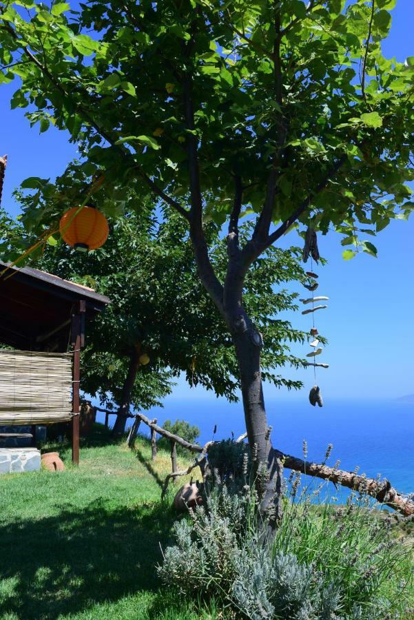 Panoramma Hause, Kampos Evdilou,Ikaria Apartman Évdilosz Kültér fotó