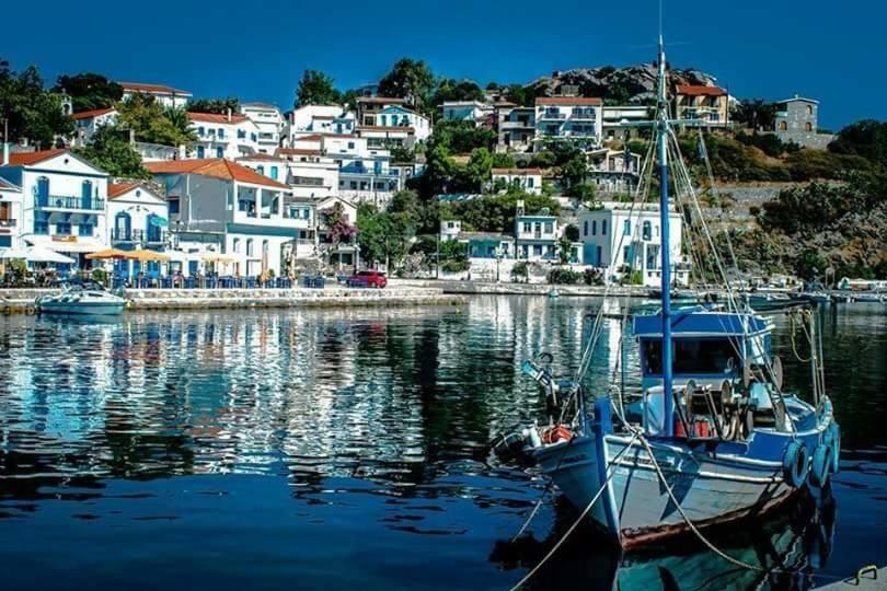 Panoramma Hause, Kampos Evdilou,Ikaria Apartman Évdilosz Kültér fotó