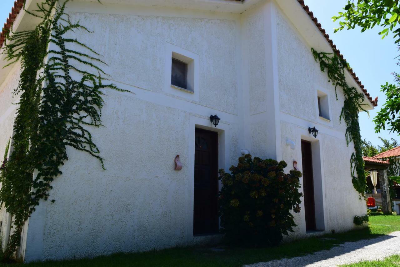 Panoramma Hause, Kampos Evdilou,Ikaria Apartman Évdilosz Kültér fotó